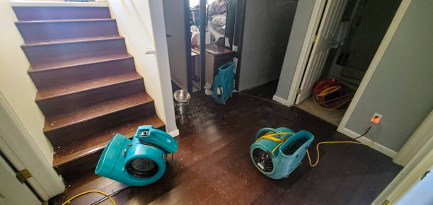 Local water damage restoration in Ozark, MO