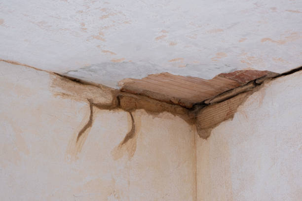 Best Ceiling water damage repair  in Ozark, MO