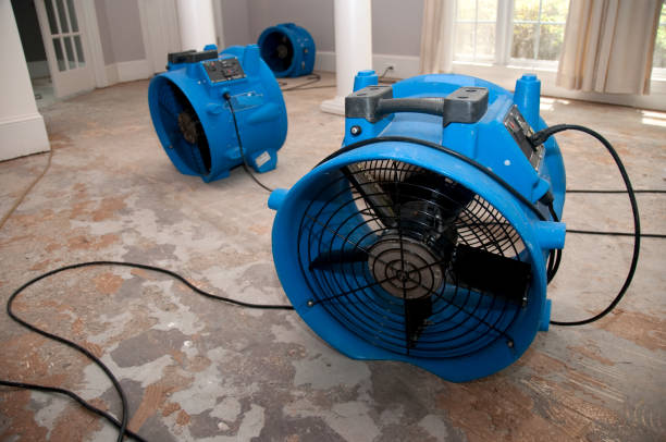 Best Residential water damage restoration  in Ozark, MO