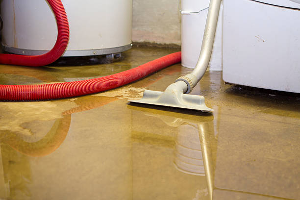 24/7 water damage repair in Ozark, MO