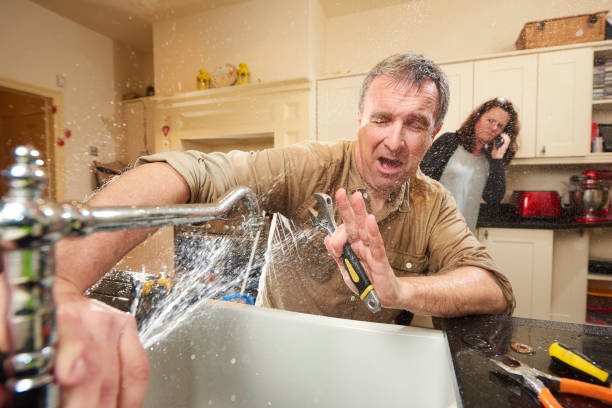 Best Flood damage cleanup  in Ozark, MO